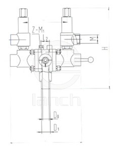 组合安全系统阀