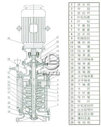DL、DLR多级泵结构图片