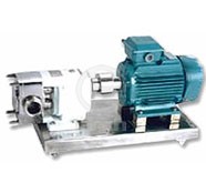 LB不锈钢转子泵产品 产品图