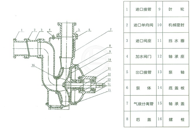ZW自吸无堵塞排污泵 结构图