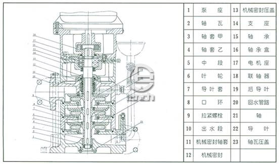 LG多级泵结构图2
