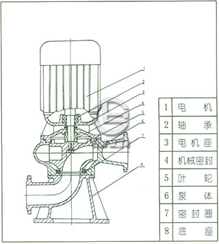LW型直立式无堵塞排污泵结构图