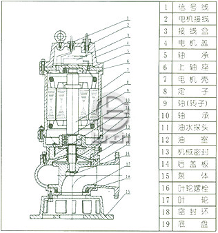 QW型无堵塞潜水排污泵结构图