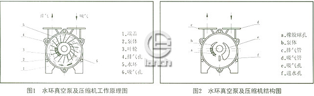 SK真空泵结构图1