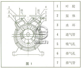 SZ系列水环式真空泵结构图1