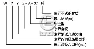 CYZ-A自吸油泵型号意义